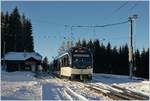 Der CEV MVR ABeh 2/5 7503  Blonay-Chamby  verlässt Les Pléiades Richtung Vevey.