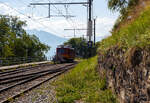 Der tpc BVB BDeh 2/4 „flèche“ (Pfeil) 24, für den gemischtem Adhäsions- und Zahnradbetrieb der Bex–Villars–Bretaye-Bahn, ist beim Bahnhof Gryon ,mit dem vorgestellten Fahrradtransport-Vorstellwagen BVB Om725, abgestellt, hier am 10.09.2023. 

Übrigens man kann diesen originalen Triebwagen für kleines Geld (für einen obligatorischen Preis kaufen. Da ist der Kaufpreis wohl der kleinere Anteil, die Verladung und der Abtransport sind da wohl die höhere Kosten. Die Transports Publics du Chablais muss leider die alten Zahnstangentriebwagen BDeh 2/4 „flèche,  wie diesen Nr. 24 (Baujahr 1941) sowie die Nr. 22 (Baujahr 1940), leider entsorgen, da diese durch modernere Fahrzeuge ersetzt wurden. So kann man diese Triebwagen als Verein, Museum aber auch als Einzelpersonen von der tpc erwerben. Die letzte Revision von dem Triebwagen war im Dezember 2009.
