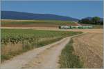 In der weiten hügeligen Vorjura-Landschaft strebet ein BAM Regionalzug Apples zu.