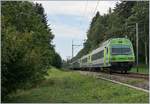 Die BLS Re  465 006 ist mit ihrem RE von La Chaux de Fond nach Bern bei Geneveys sur Coffrane unterwegs.