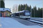 Der CEV MVR ABeh 2/6 7501 ist Les Pleiades angekommen. 

15. Jan. 2025