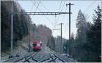Der Regionalzug von Glovelier nach La Chaux de Fonds verlässt den Bahnhof von Combe Tabeillon. Doch der Zug selbst ist nicht das Motiv des Bildes, sondern der Spitzkehrbahnhof Combe Tabeillon, wobei hier sehr schön die ansteigende und die abfallende Strecke zu sehen ist. Combe Tabeillon liegt im Wald und wahrscheinlich steigt hier zumindest ausserhalb der Wandersaison kaum jemand aus oder ein.

13. Jan. 2025

