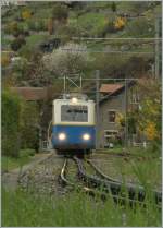 Auf 80 cm von Montreux auf den Rochres de Naye: Ein Beh 2/4 Triebwagen als Schlerzug bei Les Panches.