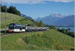 Vor der Kulisse des (fast) Wolken freien Dents de Midi im Hintergrund fährt ein MOB Belle Epoque Zug von Montreux nach Zweisimmen und erreicht in kürze den Haltestelle Planchamp.