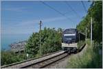 Der CEV MVR ABeh 2/6 7504  VEVEY  erreicht in Kürze sein Ziel Sonzier und von dieser Fotostelle bietet sich ein herrliches Panorama auf den Genfer See.