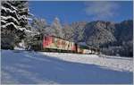 Pünktlich zum (metrologischen) Winteranfang hat es geschneit und der Schnee ist zumindest in der Höhe nicht gleich wieder weggeschmolzen, so dass ich die MOB GDe 4/4 6006  Aigle les