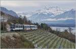 Die MOB GDe 4/4 6005 (ex GFM/TPF GDe 4/4 101) ist kurz vor Planchamp mit ihrem MOB Panoramic Express auf der Fahrt nach Zweisimmen .