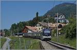 Zwei MOB  Alpina  ABe 4/4 - Be 4/4 (Serie 9000) sind mit ihrem MOB GoldPass Belle Epoque Zug von Montreux nach Zweisimmen bei Planchamp unterwegs.