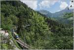 Noch vor einem Jahr verkehrt der MOB Steuerwagen ASt 152 in de  Goldenpass  Lackieurung, hier zwischen Les Avants und Sendy Sollard zu sehen.