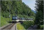 Die MOB Ge 4/4 8001 ist kurz nach Chamby mit ihrem MOB Panoramic auf dem Weg nach Montreux.