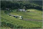 Mit grossen Schleifen führt das Trasse der ADS oberhalb von Aigle durch die Weinberge und gewinnt damit die nötige Höhe. Im Bild der neue ABe 4/8 471 als R71 auf der Fahrt nach Les Diablerets. 

3. August 2024