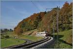 Ein TPF SURF Regionalzug von Palézieux nach Bulle zwischen Châtel St-Denis und Semsales.