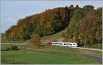 Ein TPF Surf zwischen Châtel St-Denis und Semsales in der herbstlichen Umgebung in der Nähe der ehemaligen Haltstelle Prayoud.