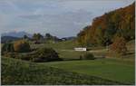 Ein TPF Surf zwischen Châtel St-Denis und Semsales in der herbstlichen Umgebung in der Nähe der ehemaligen Haltstelle Prayoud mit Blick auf die nicht weit entfernten Savoyer-, Waliser- und