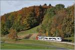 Ein TPF Surf zwischen Châtel St-Denis und Semsales in der herbstlichen Umgebung in der Nähe der ehemaligen Haltstelle Prayoud.