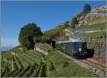 Der VH MThB Pendelzug auf seiner grossen Herbstfahrt hier zwischen Vevey und Chexbres am 4.