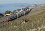 Seit dem Fahrplanwechsel sind die IR Geneve - Brig verpendelt und die Lok aus sicht des Fotogarfen am  falschen Ende .