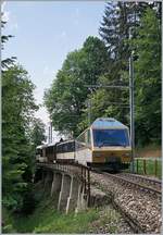 Der MOB Ast 116 noch in der  GoldenPass -Farbgebung an einen MOB Panoramic Express auf der Fahrt in Richtung Montreux kurz vor Sendy-Sollard.