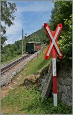 Ein kleine SPB He 2/2 scheibt ihren Zug oberhalb von Wilderswil bergwrts.