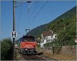 Auf dem letzten verblieben (kurzen) Einspurabschnitt zwischen Ligerz und Twann der Strecke 210 (Lausanne - Biel/Bienne) ist die SBB  Eem 923 024-4 (Hybridlok BUTLER) mit einem Güterzug auf dem Weg in Richtung Biel Bienne. 

Das auf die auf die Haltestelle hinweissende  H  signalisiert, wo es nichts mehr zu signalisieren gibt - der Bahnhof Ligerz (also die Halteselle) ist bereits geschlossen.  

11. Juli 2025