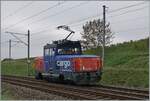 Die Eem 923 023-6 Dent de Vaulion ist kurz vor Auvernier auf der Fahrt in Richtung Neuchâtel. Einige Zeit vorher haben wir die Lok mit einen Güterzug in der Gegenrichtung fahren sehen. 
8.Oktober 2025 Die Eem 923 023-6 Dent de Vaulion ist kurz vor Auvernier auf der Fahrt in Richtung Neuchâtel. Einige Zeit vorher haben wir die Lok mit einen Güterzug in der Gegenrichtung fahren sehen. 
8.Oktober 2025
