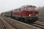 216 224-6 stand mit DPE 24246 von Rostock-Seehafen nach Gera Hbf im Rostocker Seehafen.02.10.2016