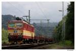 372 006-7 mit ein Stahlzug in Bad Schandau Ost