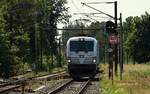 CDC 7383 022-1 kam aus Flensburg nach Pattburg/DK gefahren. 14.08.2026