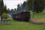 Fahrtag im Zürcher Oberland. 

Ed 3/3 401 der UeBB bei Neuthal. Juli 2023.
