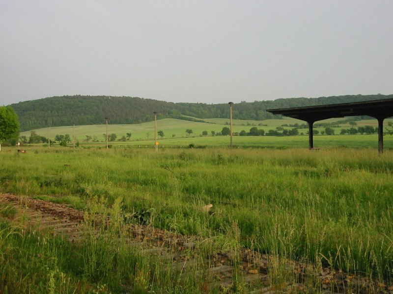 �berwucherte Gleise des Bahnhofs Laucha (Unstrut). Einst fuhren hier viele Z�ge, heute wird nur noch ein Gleis von der st�ndlich verkehrenden Burgenlandbahn befahren. Das Bahnhofsgel�nde allgemein ist ziemlich verfallen. Manchmal kommt hier noch ein Zementzug von oder nach Karsdorf durch; 27.05.2007 (Foto & �: Marvin Buschendorf)