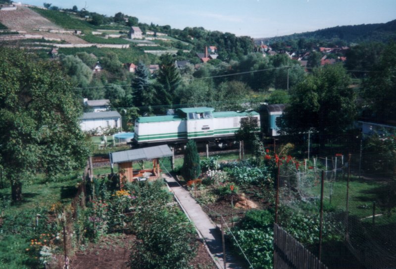 V 100 003 (201 003-1) mit einem Winzerfestsonderzug in Freyburg; September 2000 (Foto: Mario Fliege)