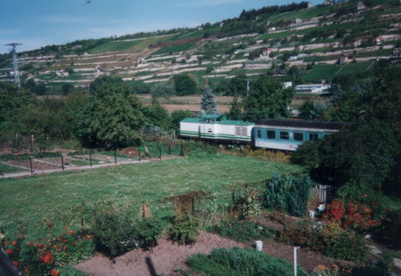 V 100 003 vom F�rderverein Berlin-Anhaltinische Eisenbahn e.V. mit einem Winzerfestsonderzug Richtung Laucha, im Unstruttal bei Freyburg; September 2000 (Foto: Mario Fliege)