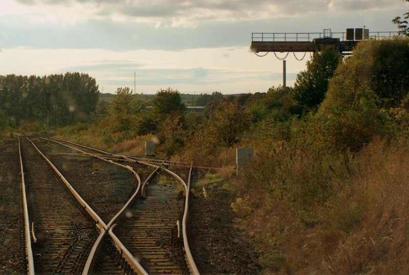 Zugewachsene Rangiergleise am Ostkopf des Bahnhofs Laucha; 04.09.2008