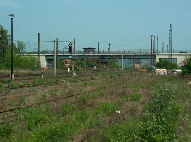 Zugewachsene Rangiergleise am westlichen Gleisvorfeld in Naumburg (Saale) Hbf. Im Hintergrund erkennt man das �berf�hrungsbauwerk der B180; 01.05.2009