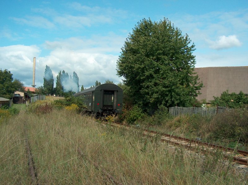 Zugewachsenes Gleis der Finnebahn kurz hinter dem B� in Laucha (Unstrut); 14.09.2008